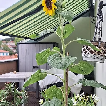 Castros Apartamento Celorio (Llanes)